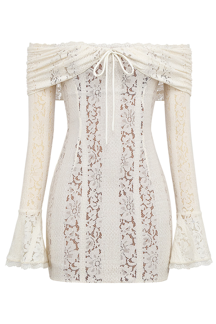 Vivia | Lace Mini Dress